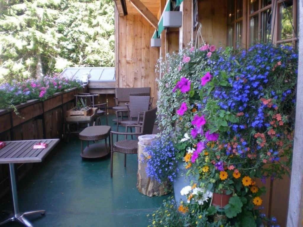 Chalet Hotel Le Collet Xonrupt-Longemer Zewnętrze zdjęcie